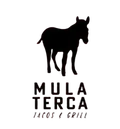 Mula Terca